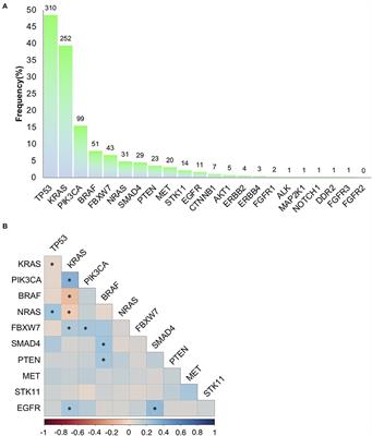 Clinical Multigene Panel Sequencing Identifies Distinct Mutational Association Patterns in Metastatic Colorectal Cancer